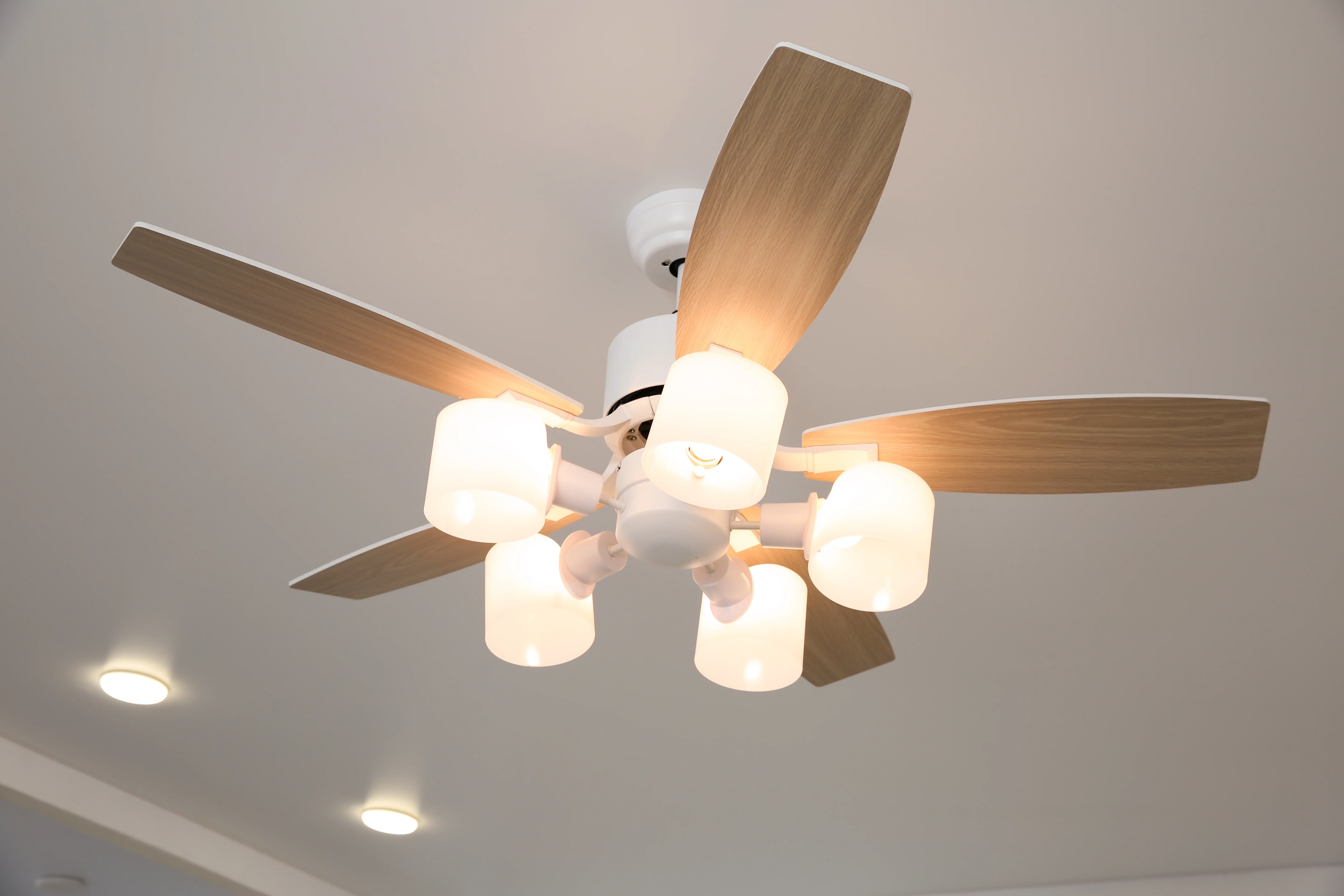 Electrician in Labrador — Blair Data & Electrical